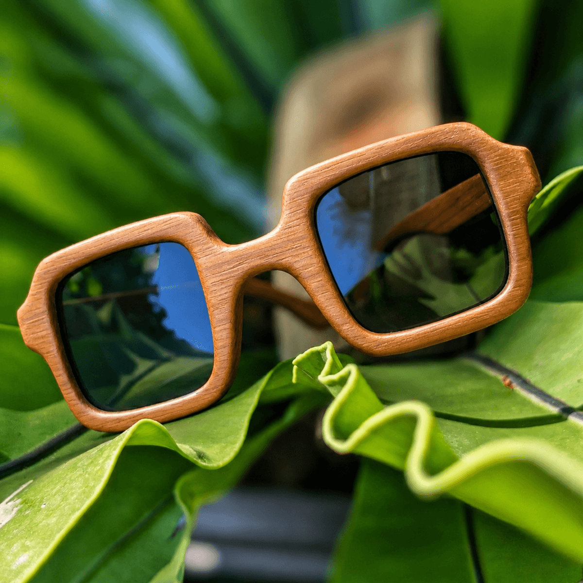 Kana Kukka (Sunglasses)